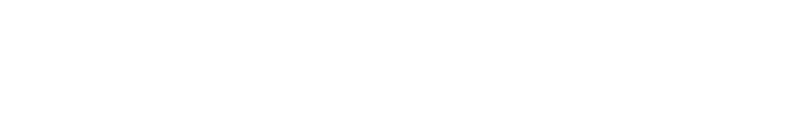 NESM